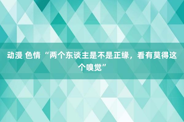 动漫 色情 “两个东谈主是不是正缘，看有莫得这个嗅觉”