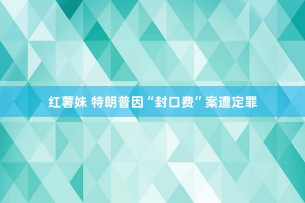 红薯妹 特朗普因“封口费”案遭定罪