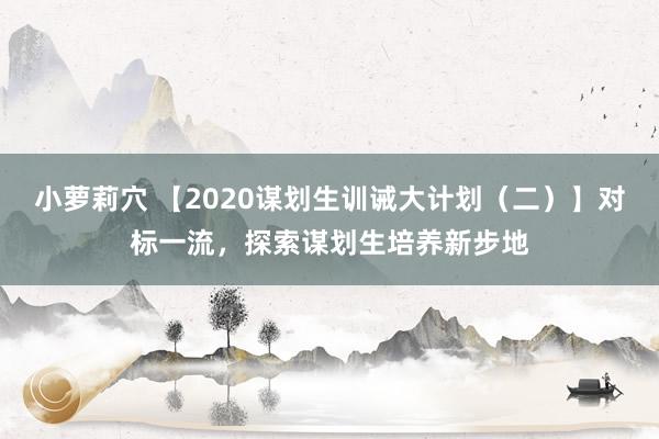 小萝莉穴 【2020谋划生训诫大计划（二）】对标一流，探索谋划生培养新步地