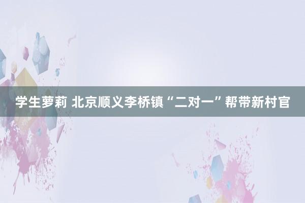 学生萝莉 北京顺义李桥镇“二对一”帮带新村官