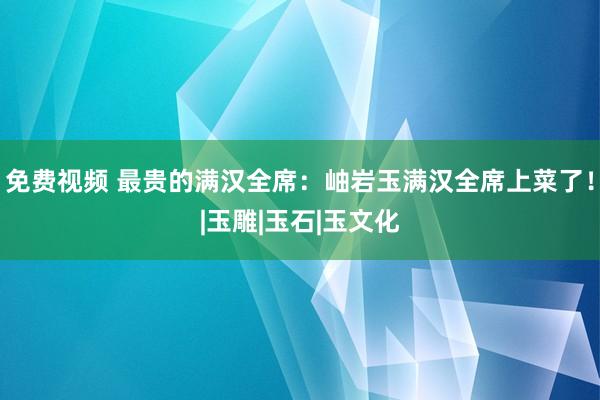 免费视频 最贵的满汉全席：岫岩玉满汉全席上菜了！|玉雕|玉石|玉文化