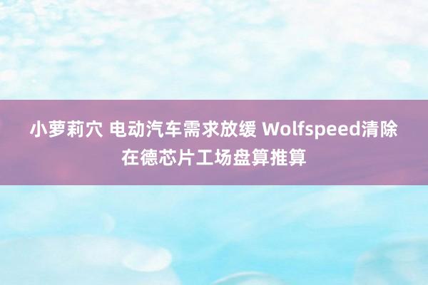 小萝莉穴 电动汽车需求放缓 Wolfspeed清除在德芯片工场盘算推算