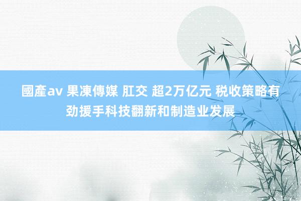 國產av 果凍傳媒 肛交 超2万亿元 税收策略有劲援手科技翻新和制造业发展