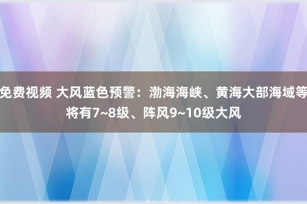 免费视频 大风蓝色预警：渤海海峡、黄海大部海域等将有7~8级、阵风9~10级大风